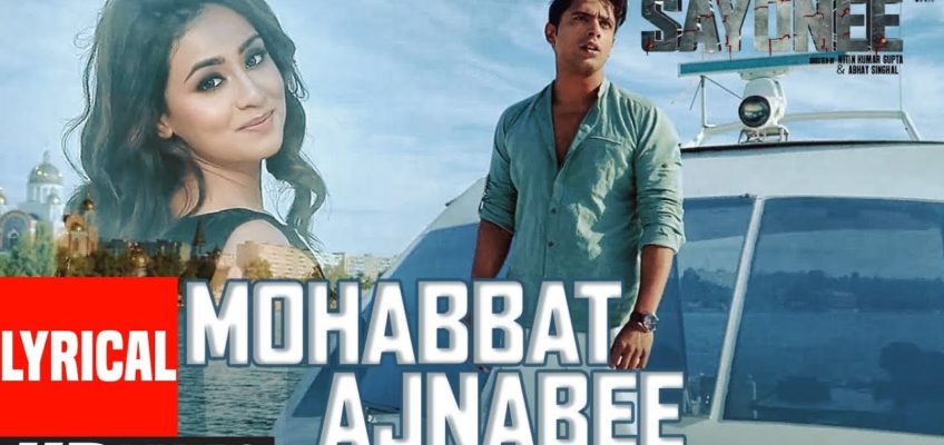 Mohabbat Ajnabee Song Lyrics