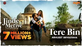 Tere Bin Haye Song Lyrics