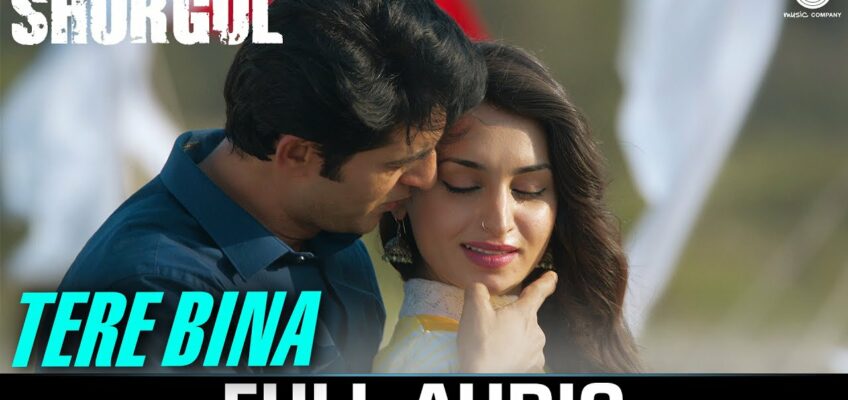 Tere Bina Song Lyrics – Shorgul