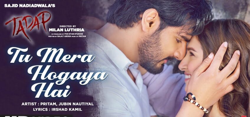 Tu Mera Hogaya Hai Song Lyrics