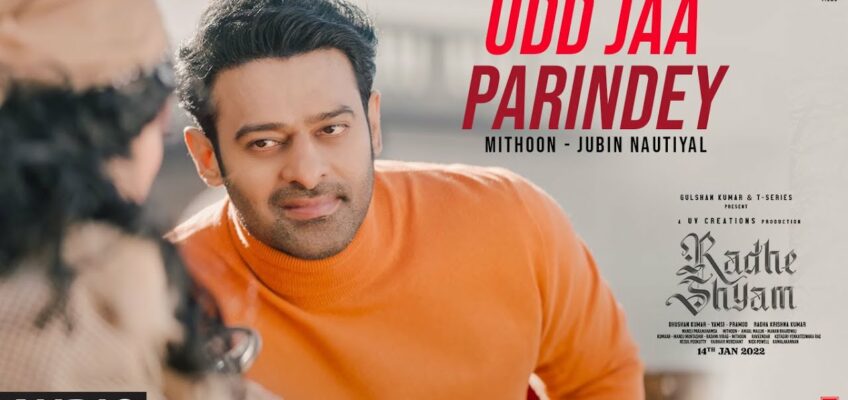 Udd Jaa Parindey Song Lyrics