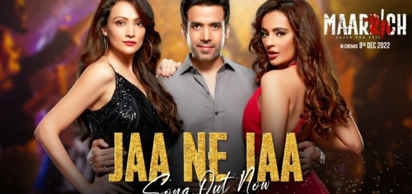 Jaa Ne Jaa Song Lyrics