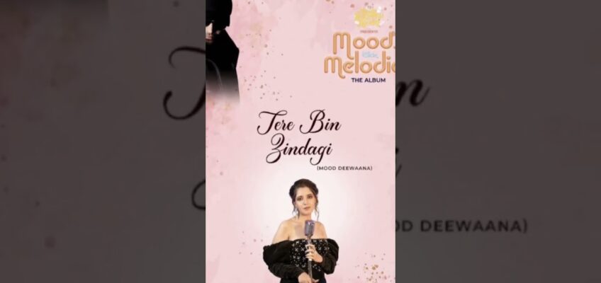 Tere Bin Zindagi Song Lyrics