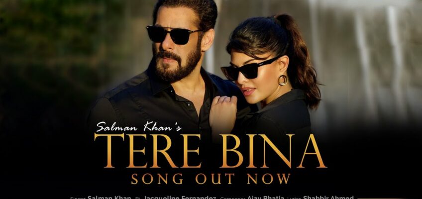 Tere Bina Song Lyrics – Salman Khan