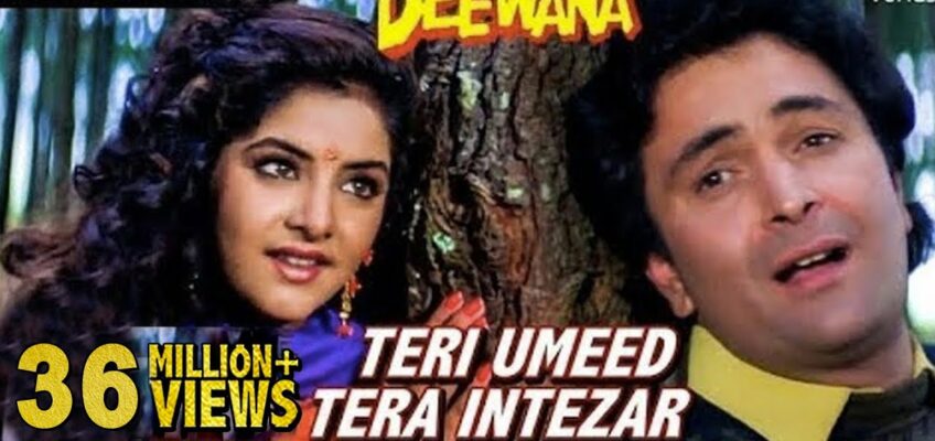 Teri Umeed Tera Intezar Song Lyrics