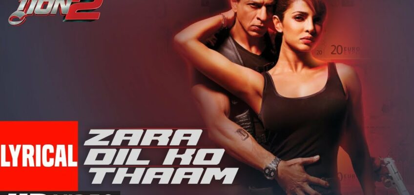 Zara Dil Ko Thaam Lo Song Lyrics