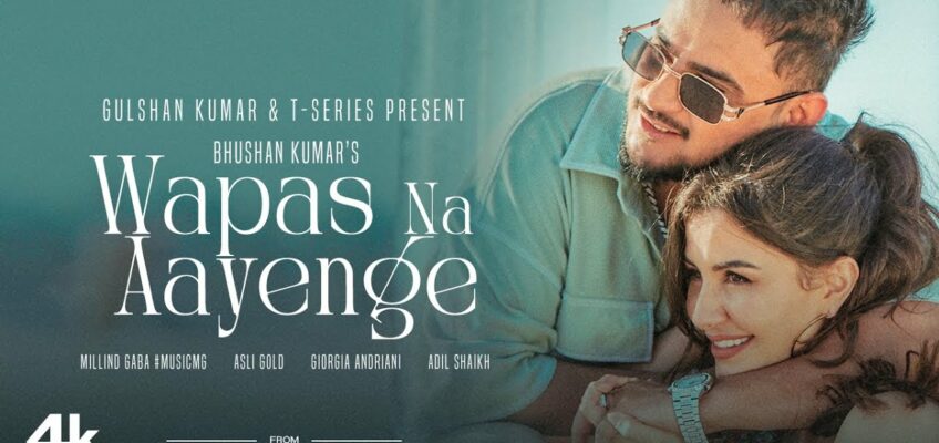 Wapas Na Aayenge Song Lyrics