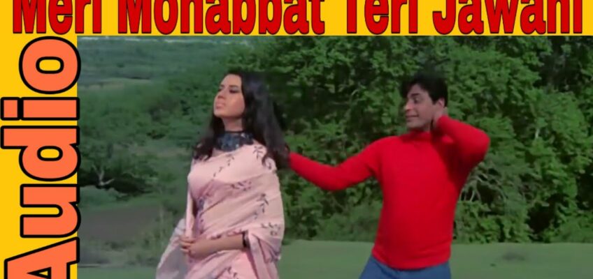 Meri Mohabbat Teri Jawani Song Lyrics