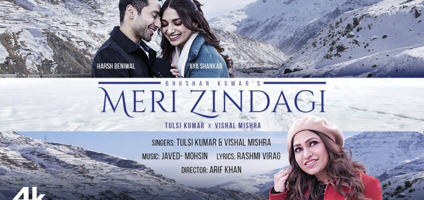 Meri Zindagi Song Lyrics