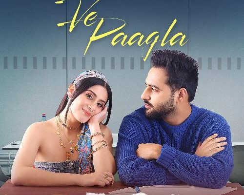 Ve Paagla Song Lyrics