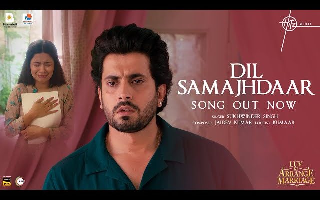 Dil Samajhdaar Song Lyrics