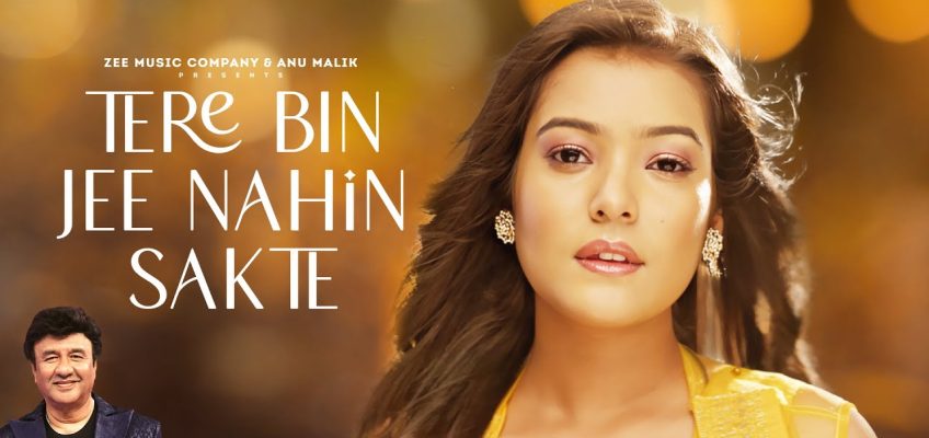 Tere Bin Jee Nahin Sakte Song Lyrics