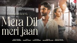 Mera Dil Meri Jaan Song Lyrics