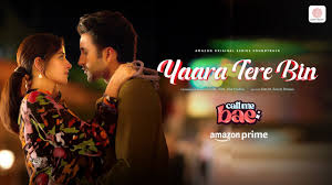 Yaara Tere Bin Song Lyrics