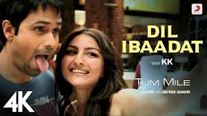 Dil Ibaadat Song Lyrics