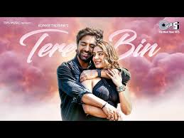 Tere Bin Song Lyrics