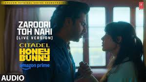 Zaroori Toh Nahi Song Lyrics