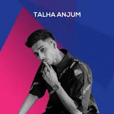 Talha Anjum